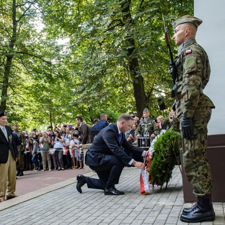 Wyświetl org. rozmiar