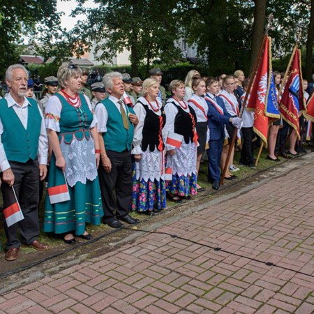Wyświetl org. rozmiar