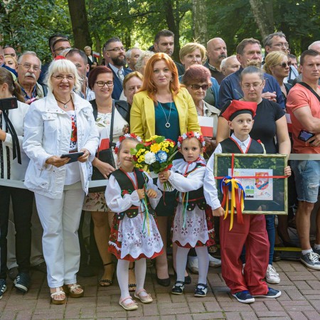 Wyświetl org. rozmiar