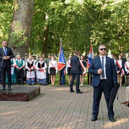 Wyświetl org. rozmiar