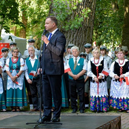 Wyświetl org. rozmiar