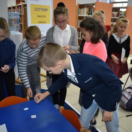 Wyświetl org. rozmiar