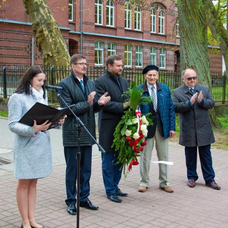Wyświetl org. rozmiar