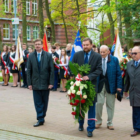 Wyświetl org. rozmiar
