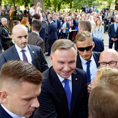 Wyświetl org. rozmiar