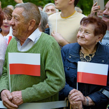 Wyświetl org. rozmiar