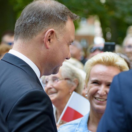 Wyświetl org. rozmiar