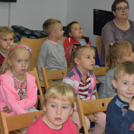 Wyświetl org. rozmiar
