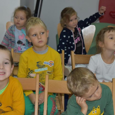 Wyświetl org. rozmiar