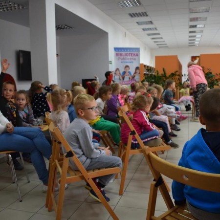 Wyświetl org. rozmiar