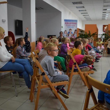 Wyświetl org. rozmiar