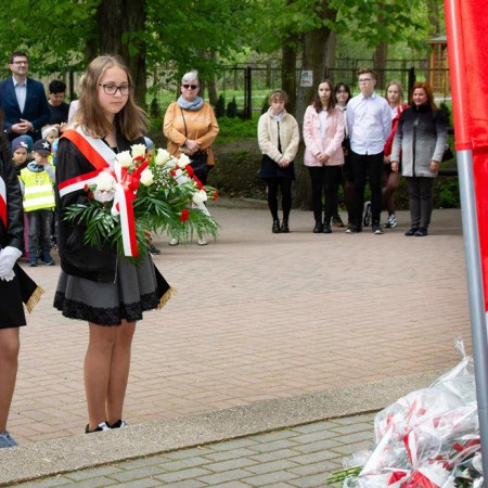 Wyświetl org. rozmiar