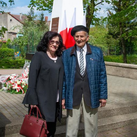 Wyświetl org. rozmiar