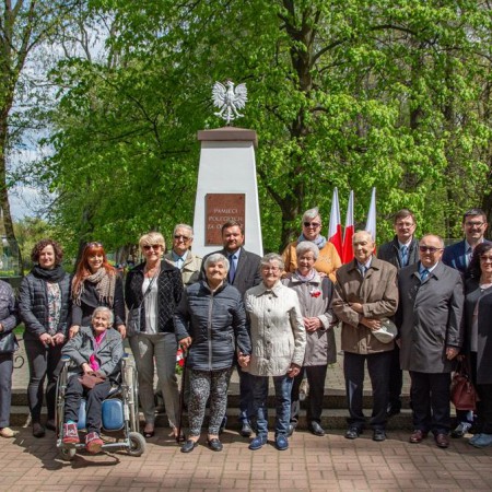 Wyświetl org. rozmiar