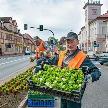 Wyświetl org. rozmiar