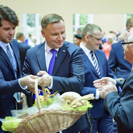 Wyświetl org. rozmiar