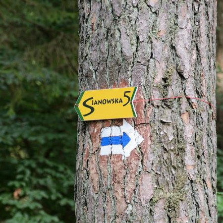 Wyświetl org. rozmiar