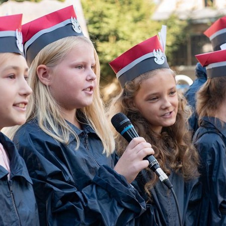Wyświetl org. rozmiar