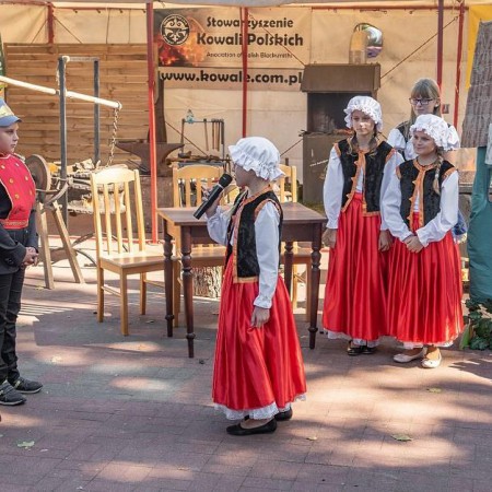 Wyświetl org. rozmiar