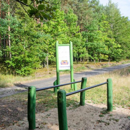 Wyświetl org. rozmiar