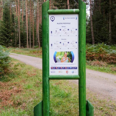 Wyświetl org. rozmiar