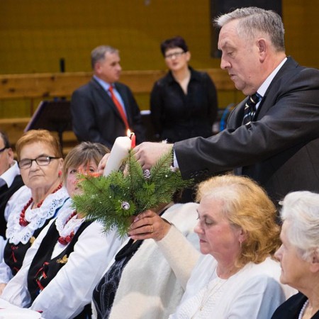 Wyświetl org. rozmiar