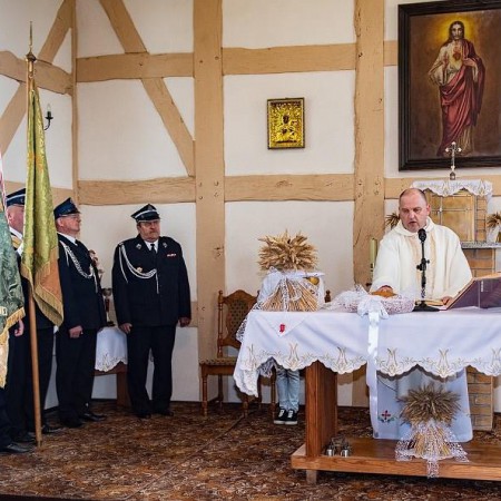 Wyświetl org. rozmiar