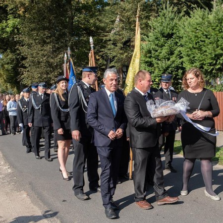 Wyświetl org. rozmiar