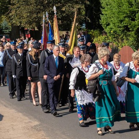 Wyświetl org. rozmiar