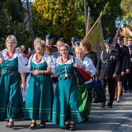 Wyświetl org. rozmiar
