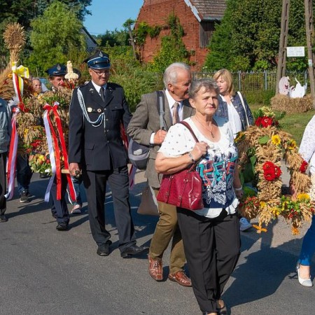 Wyświetl org. rozmiar