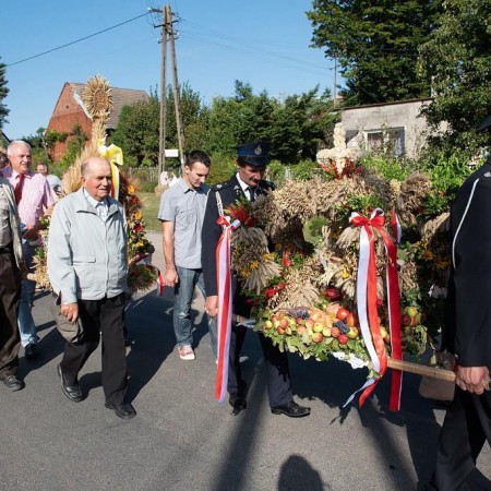 Wyświetl org. rozmiar