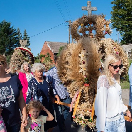 Wyświetl org. rozmiar
