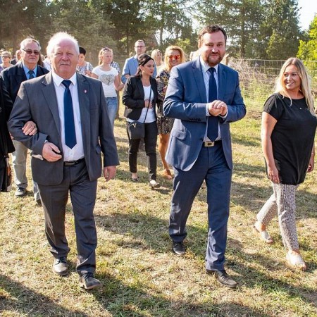 Wyświetl org. rozmiar