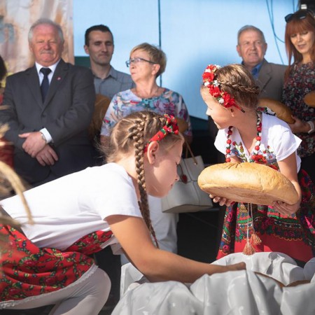 Wyświetl org. rozmiar