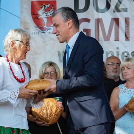 Wyświetl org. rozmiar