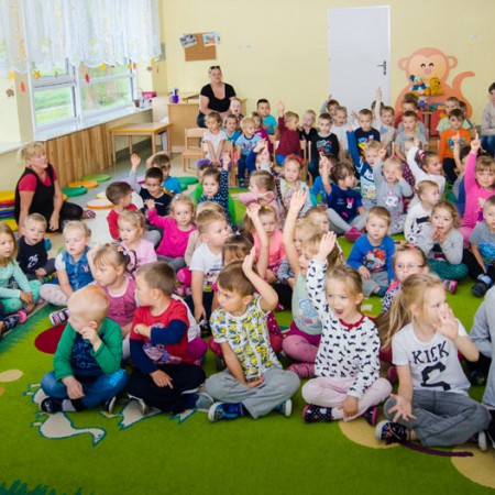 Wyświetl org. rozmiar