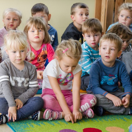 Wyświetl org. rozmiar