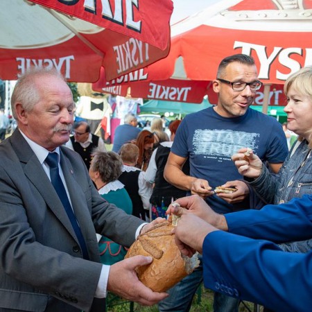Wyświetl org. rozmiar