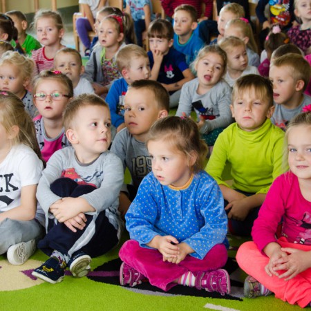 Wyświetl org. rozmiar