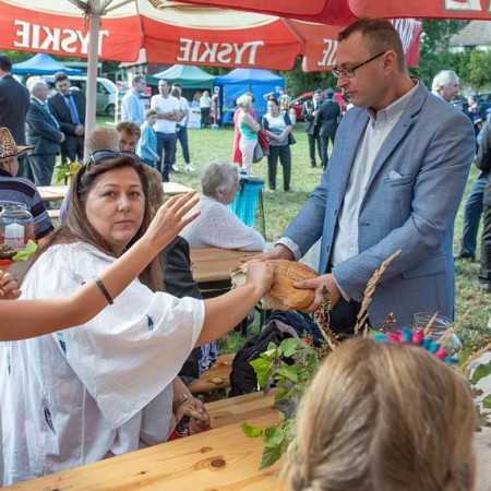 Wyświetl org. rozmiar