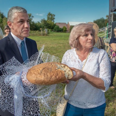 Wyświetl org. rozmiar