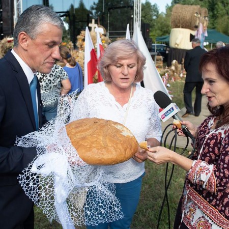 Wyświetl org. rozmiar
