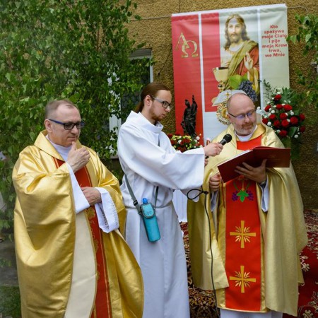 Wyświetl org. rozmiar