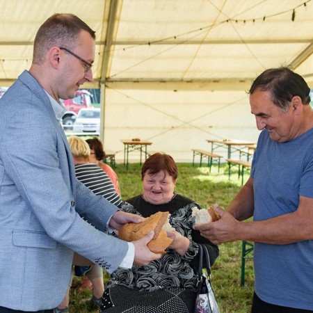 Wyświetl org. rozmiar