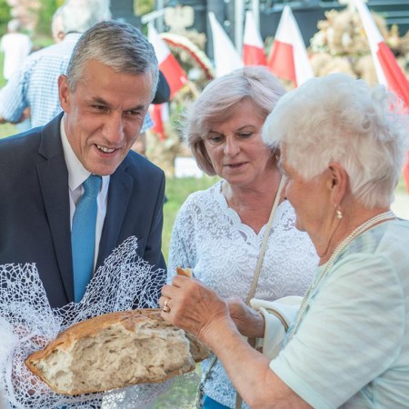 Wyświetl org. rozmiar