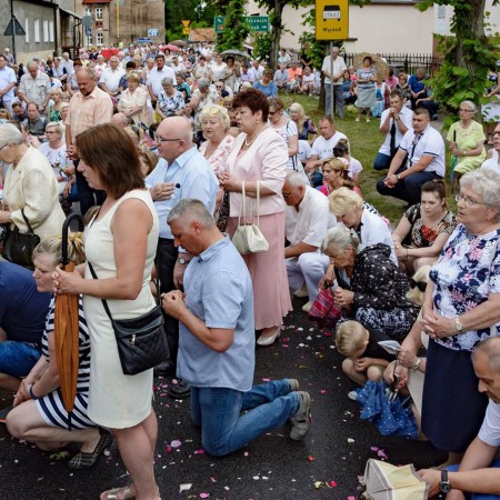 Wyświetl org. rozmiar