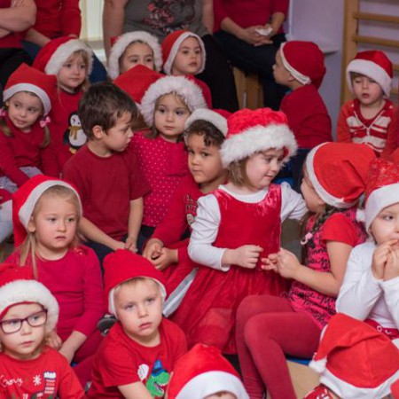 Wyświetl org. rozmiar