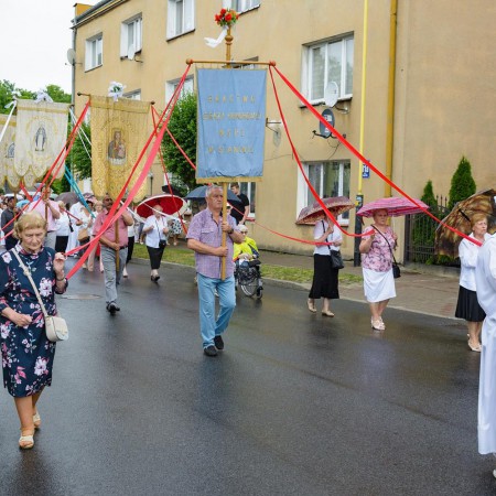 Wyświetl org. rozmiar