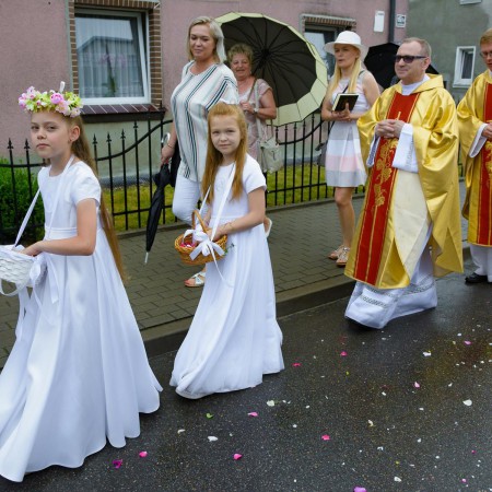 Wyświetl org. rozmiar